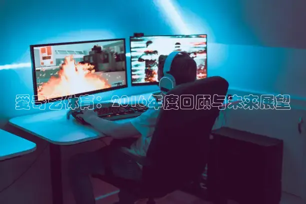 鲸鱼体育头狼解说